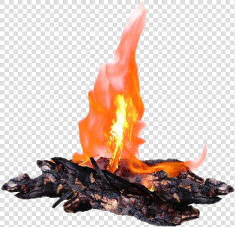 Bonfire Transparent File   Transparent Bonfire Png  Png DownloadTransparent PNG