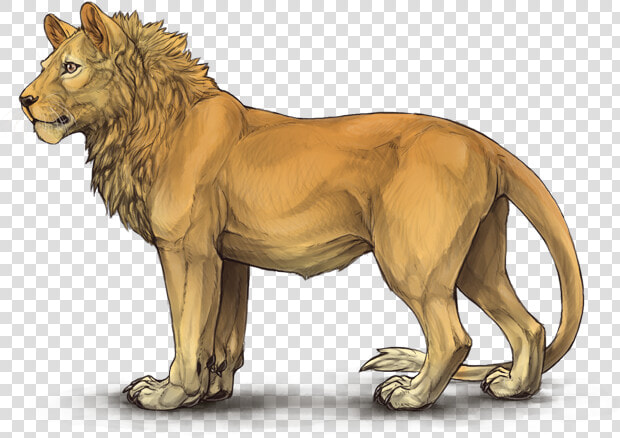 Lioden First Gen Leopon  HD Png DownloadTransparent PNG