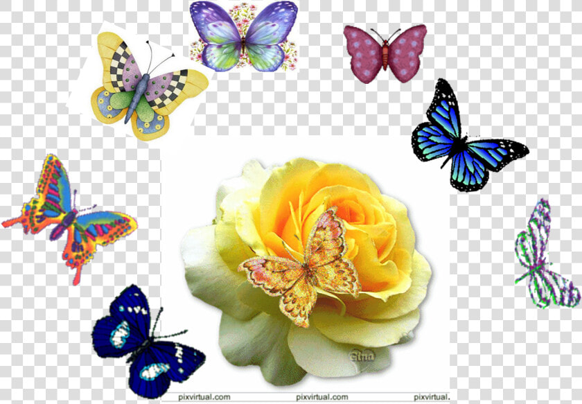 Mariposas   J Rose Gif  HD Png DownloadTransparent PNG