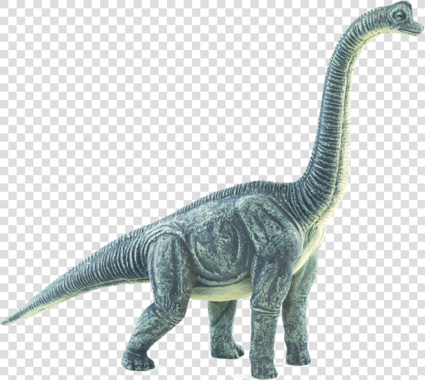 387212 Brachiosaurus  HD Png DownloadTransparent PNG