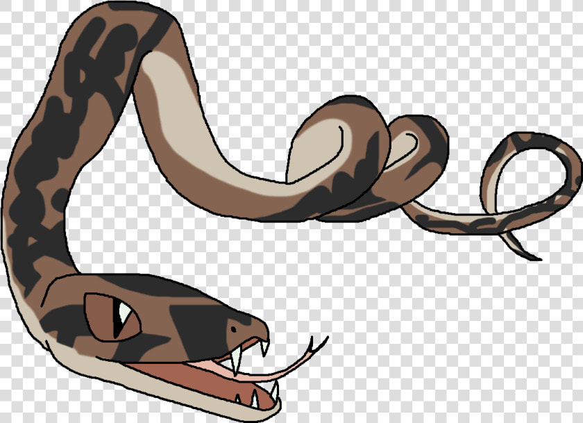 Boa Constrictor   Python   Python  HD Png DownloadTransparent PNG