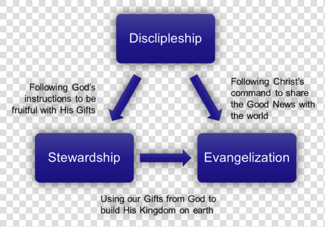 Stewardship Discipleship  HD Png DownloadTransparent PNG