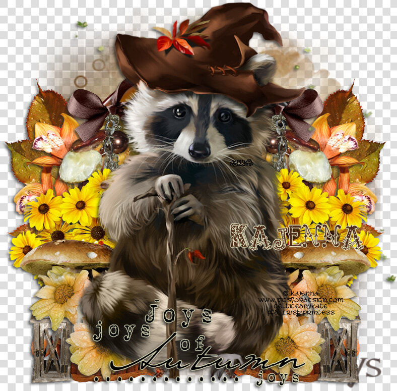 Racoon Ptu Tut   Png Download   Procyon  Transparent PngTransparent PNG