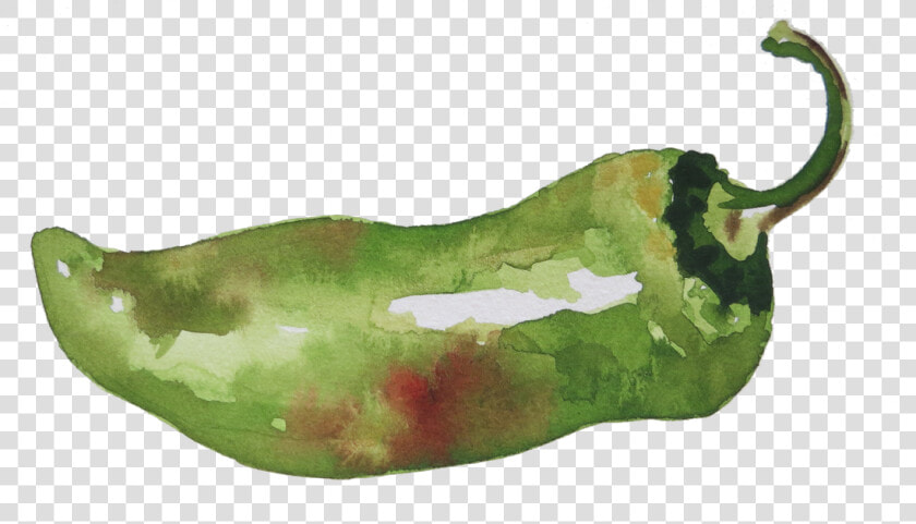 Watercolor By Charmaine Martinez   Habanero Chili  HD Png DownloadTransparent PNG