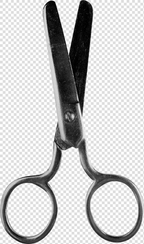 Free Download Of Scissors Transparent Png File   Scissors  Png DownloadTransparent PNG