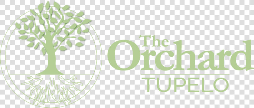 The Orchard Logo   Orchard Tupelo Ms  HD Png DownloadTransparent PNG