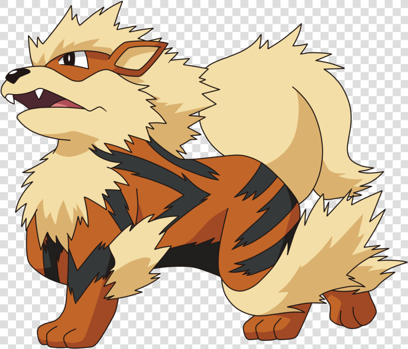 Arcanine Transparent Growlithe Pokemon   Pokemon Arcanine Png  Png DownloadTransparent PNG