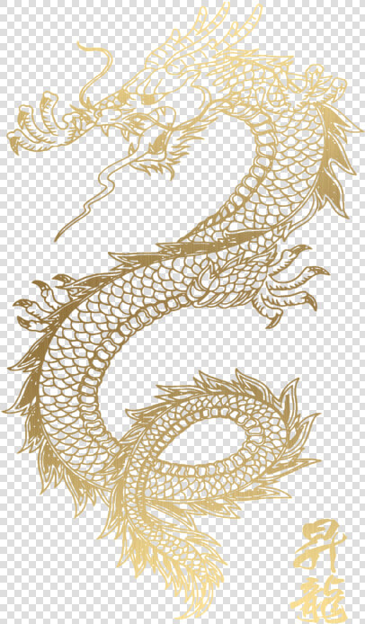 Japanese Dragon Tattoo Simple  HD Png DownloadTransparent PNG