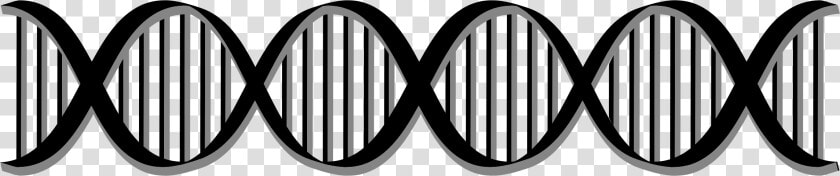 Dna Png   Dna Double Helix Clip Art  Transparent PngTransparent PNG