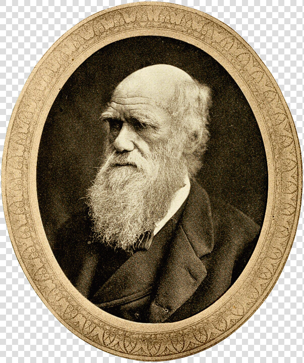 Charles Darwin  HD Png DownloadTransparent PNG