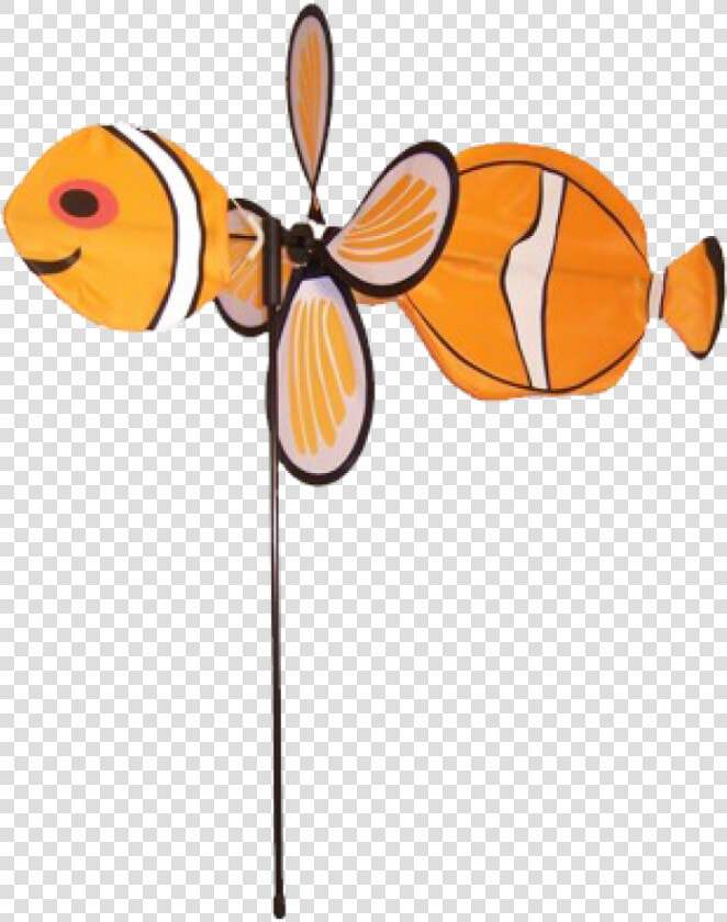 Image Of Baby Bug Clownfish  HD Png DownloadTransparent PNG