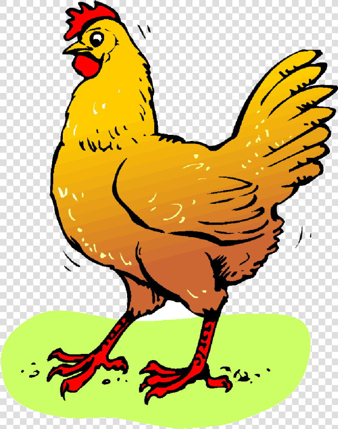 Chicken Egg Clipart Free Images Transparent Png   Chicken Clipart  Png DownloadTransparent PNG