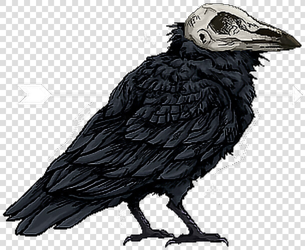  raven  skull  arrow   Raven With Skull Head  HD Png DownloadTransparent PNG