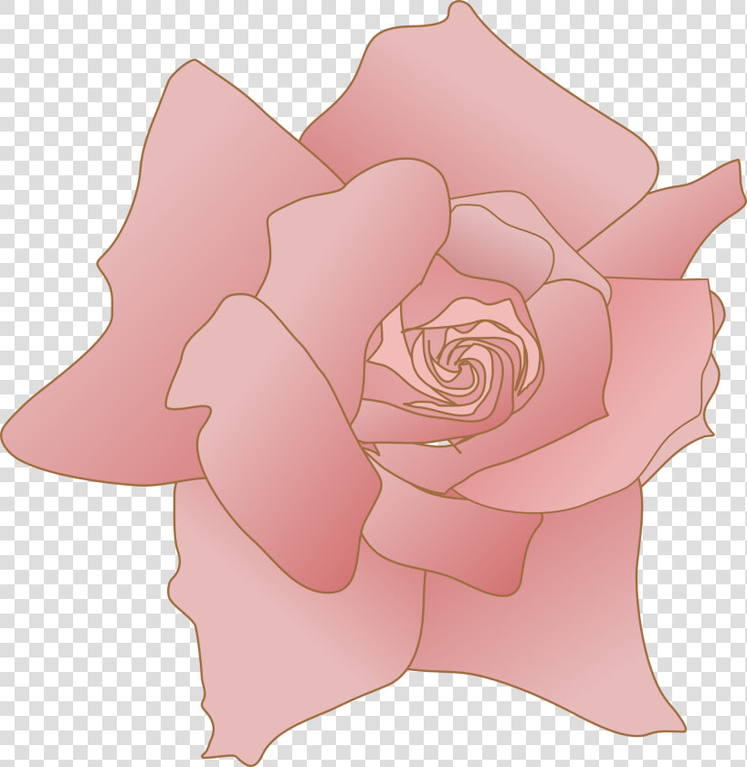 Rose Svg Clip Arts   Fiori Rosa In Vettoriale Png  Transparent PngTransparent PNG