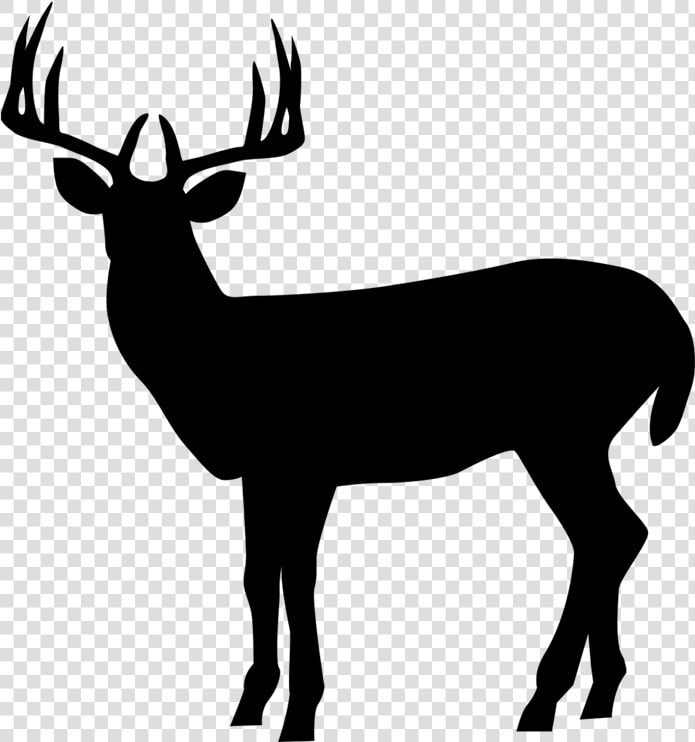 Silhouette Roe Deer Clip Art Illustration Elk   Deer Silhouette Transparent Background  HD Png DownloadTransparent PNG