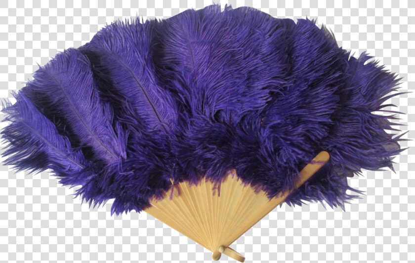 Ostrich Feather Png Purple Ostrich Feather Fan Vintage   Common Ostrich  Transparent PngTransparent PNG