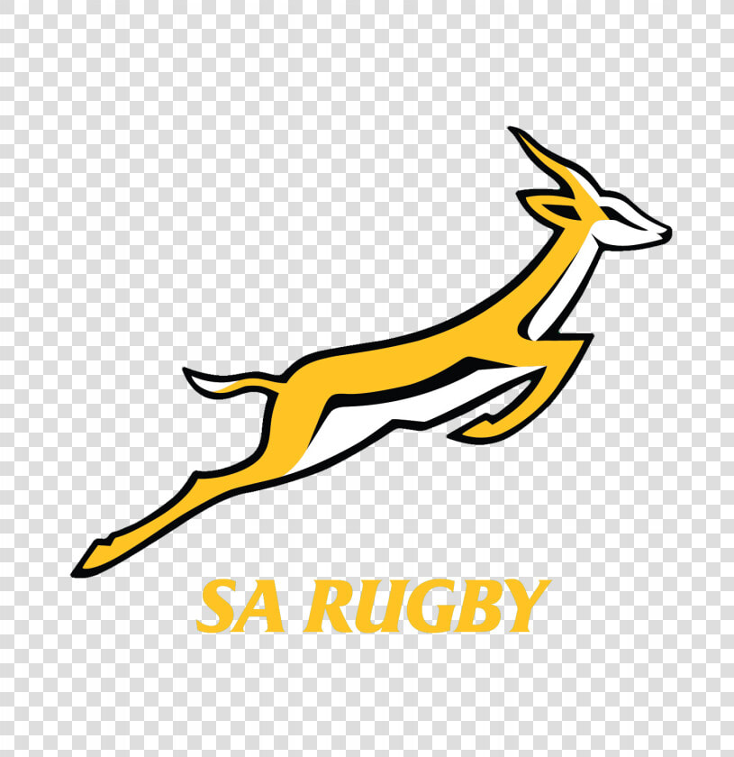 Logo Rug Horizontale Variant Voorkeursvariant Logo   Logo South Africa Rugby  HD Png DownloadTransparent PNG