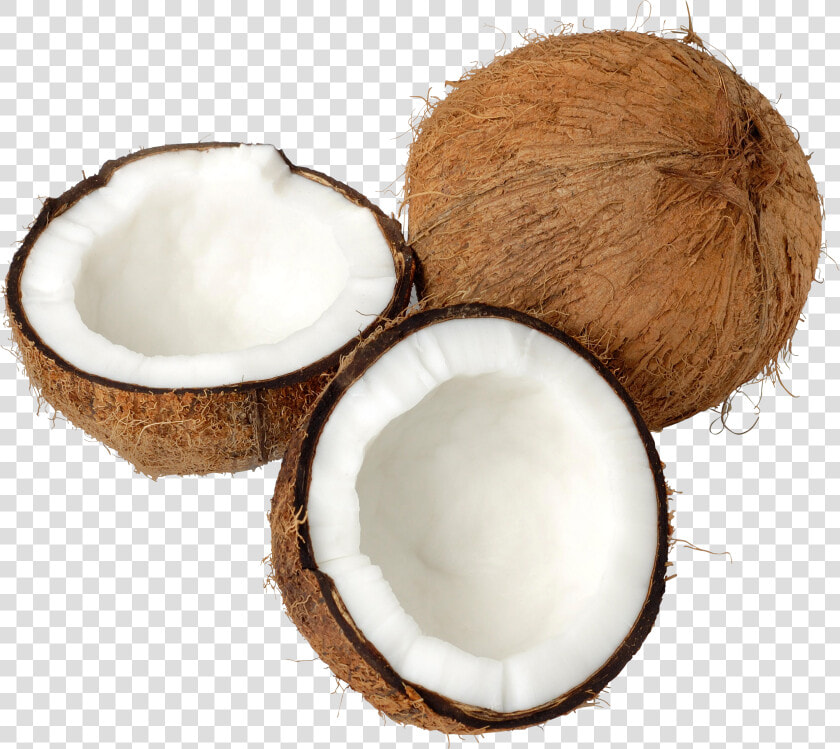 Papua New Guinea Png   Transparent Background Coconut Png  Png DownloadTransparent PNG