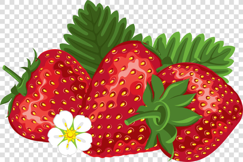 Strawberry Farmer Strawberries Images Image Free Download   Free Clip Art Strawberries  HD Png DownloadTransparent PNG