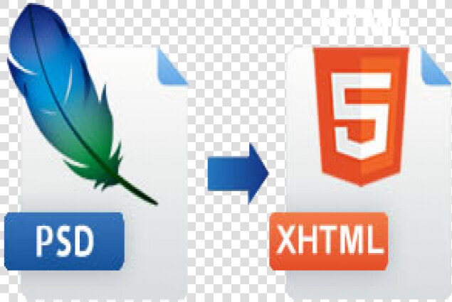 Psd 2 Html And Web Developer   Psd To Html Conversion Company  HD Png DownloadTransparent PNG