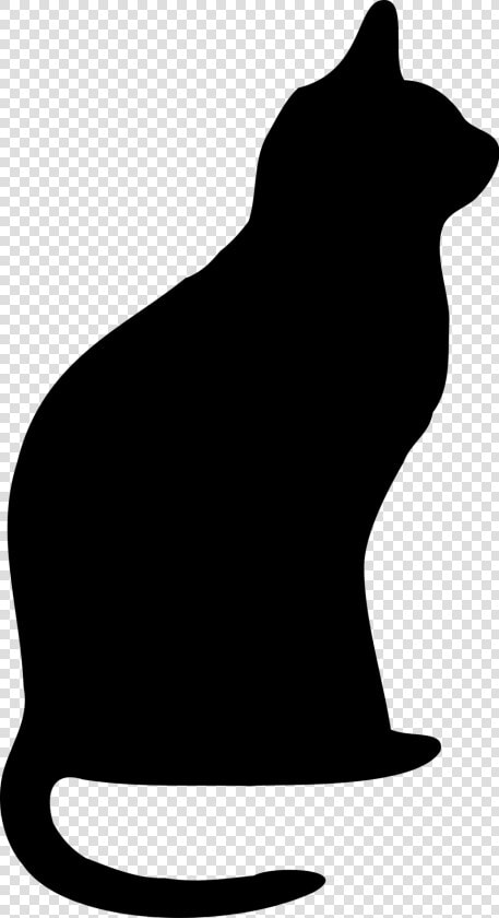 Black Cat Clipart Transparent Cats Stunning Free Png   Cat Clip Art Black  Png DownloadTransparent PNG