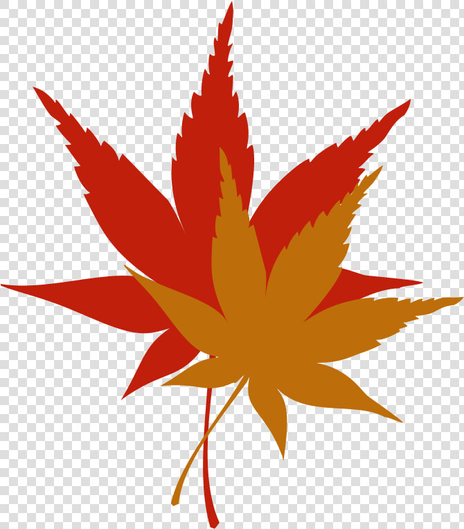 Transparent Japanese Maple Png   Japanese Maple Leaf Clipart  Png DownloadTransparent PNG