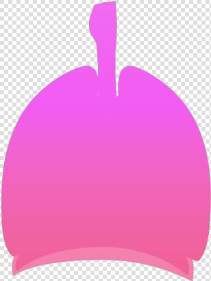 Human Lungs Png Clipart Free Download   Illustration  Transparent PngTransparent PNG