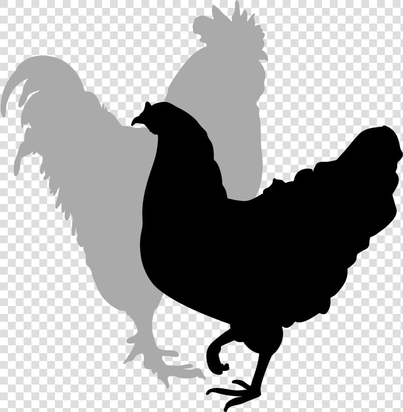 Rooster Silhouette Clip Art   Clipart Hen And Rooster  HD Png DownloadTransparent PNG