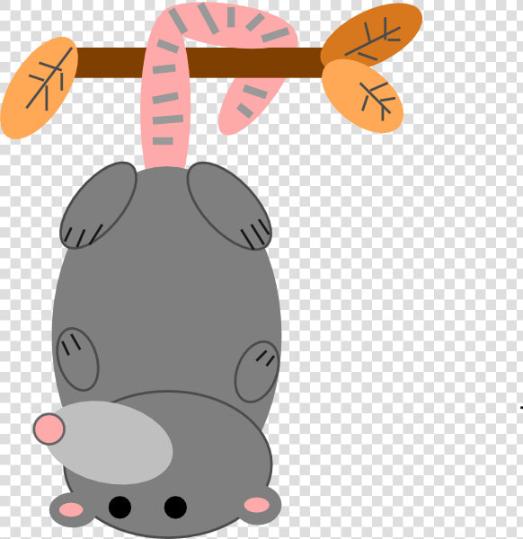 Possum No Smile 2 Svg Clip Arts   Cartoon Opossum Clipart  HD Png DownloadTransparent PNG