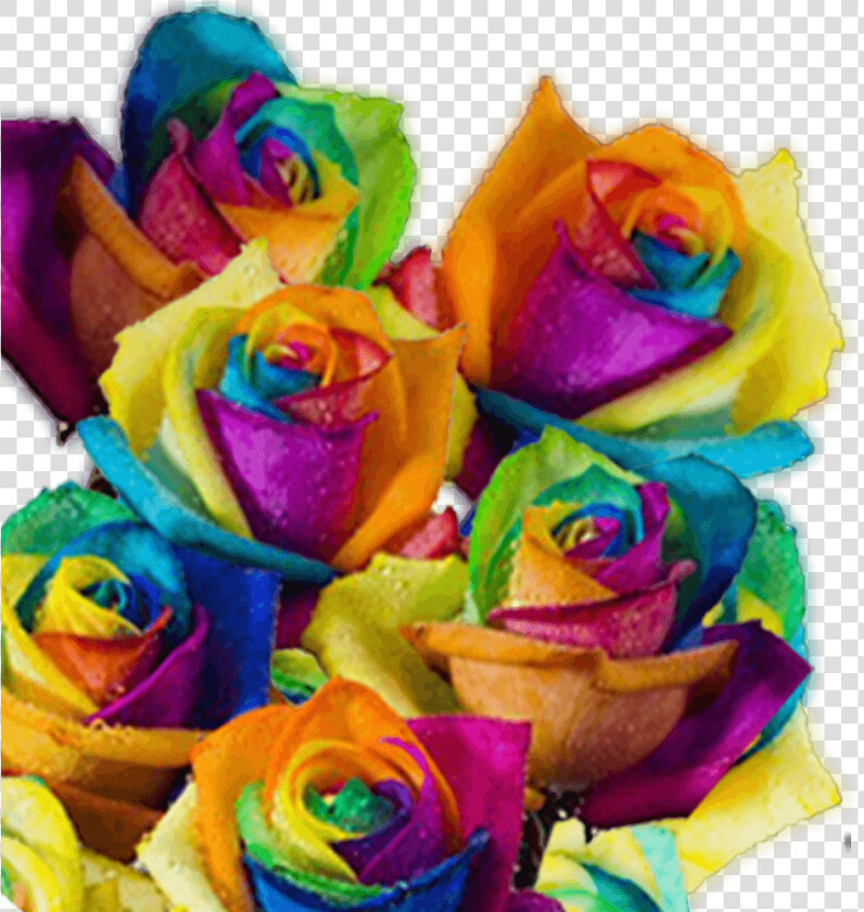 Rainbow Roses For Sale Free Delivery Rainbow Colored   Multi Colored Roses  HD Png DownloadTransparent PNG