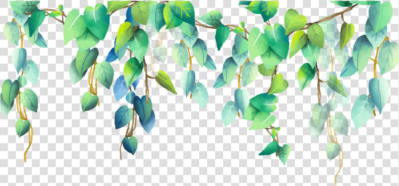  green  plant  plants  png  pngstickers   Border Watercolor Leaves Png  Transparent PngTransparent PNG