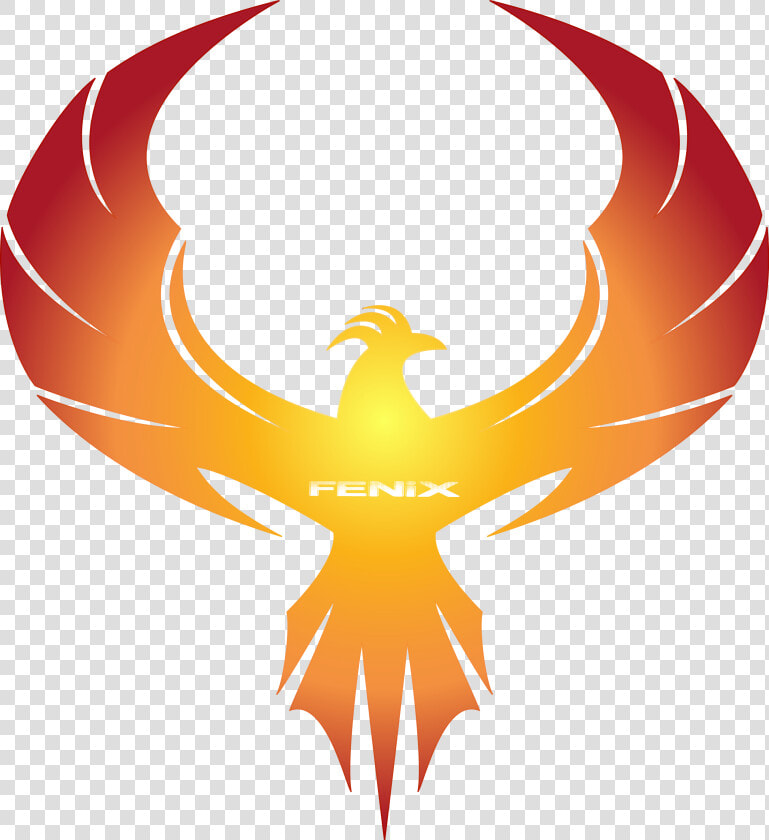 Phoenix Information Clip Art   Transparent Background Phoenix Logo  HD Png DownloadTransparent PNG