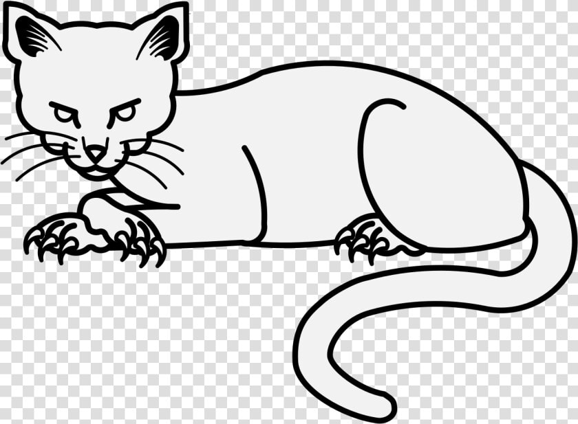 Kitten   Png Download   Kitten  Transparent PngTransparent PNG