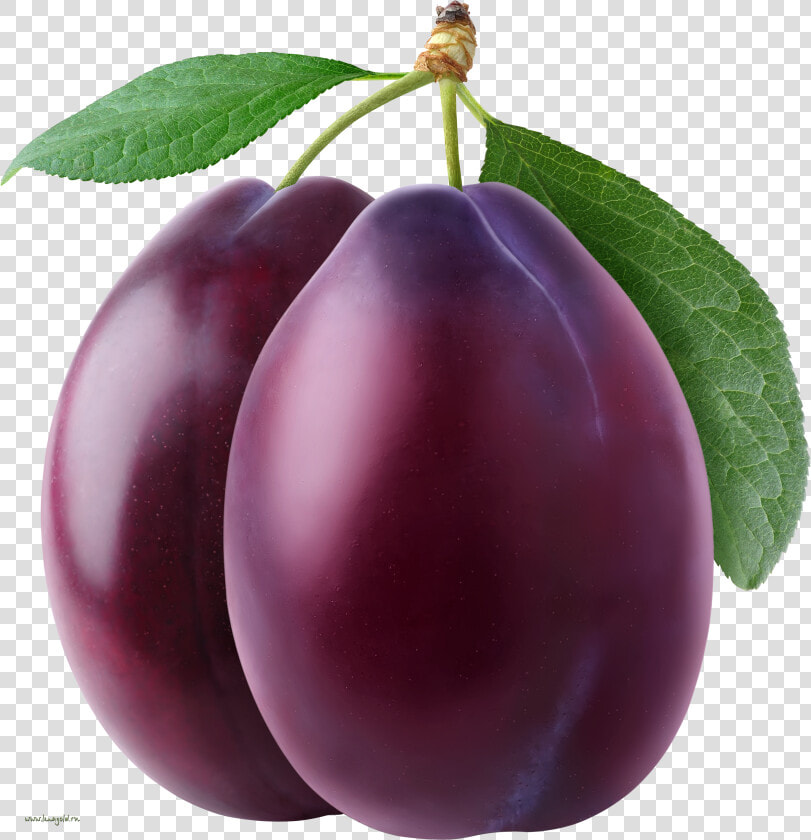 Plum Png Image   Plum Png  Transparent PngTransparent PNG