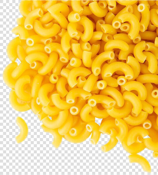 Macaroni Pasta Png Image Background   Elbow Macaroni Pasta  Transparent PngTransparent PNG