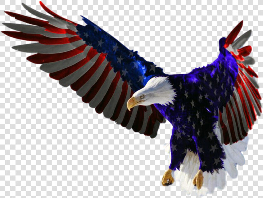 Features American Flag Eagle Clipped Rev   Eagle Flying American Flag  HD Png DownloadTransparent PNG