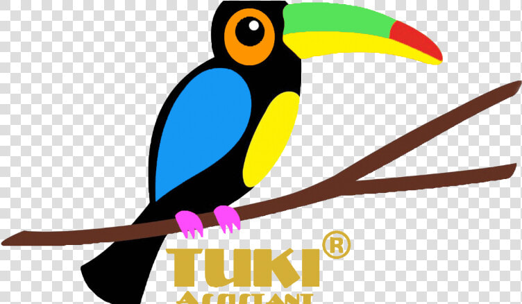 Encyclopedia Clipart   Png Download   Toucan  Transparent PngTransparent PNG