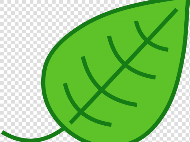 Jungle Leaves Cliparts   Leaf Clip Art  HD Png DownloadTransparent PNG