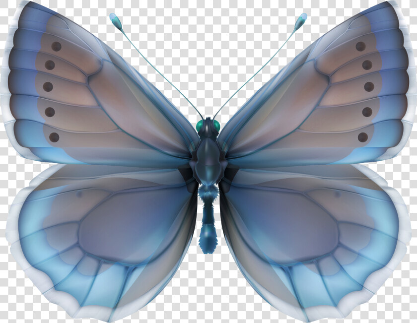 Decoupage Butterflies In Blue  HD Png DownloadTransparent PNG