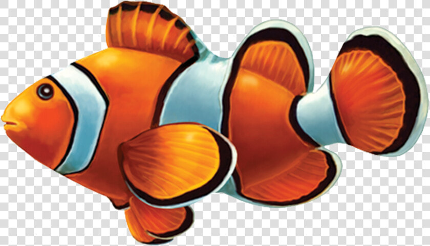 Clown Fish Png Transparent Background   Pool Tile Mosaic Fish  Png DownloadTransparent PNG