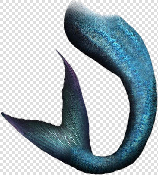 Pngs  Mermaids Tail  And For Wattpad Image   Mermaid Tail Png  Transparent PngTransparent PNG