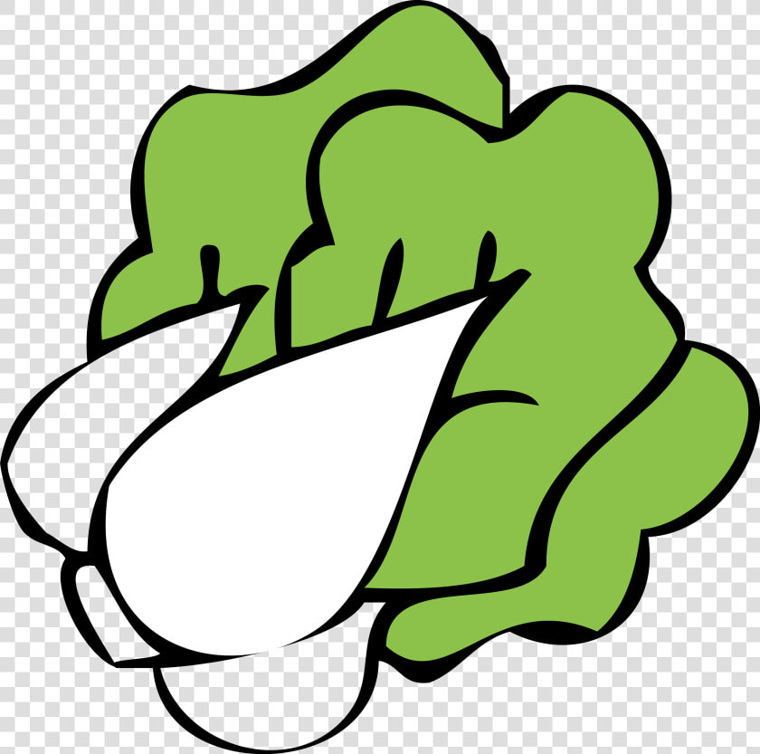 Cartoon Bok Choy Napa Cabbage   Bok Choy Cartoon Png  Transparent PngTransparent PNG