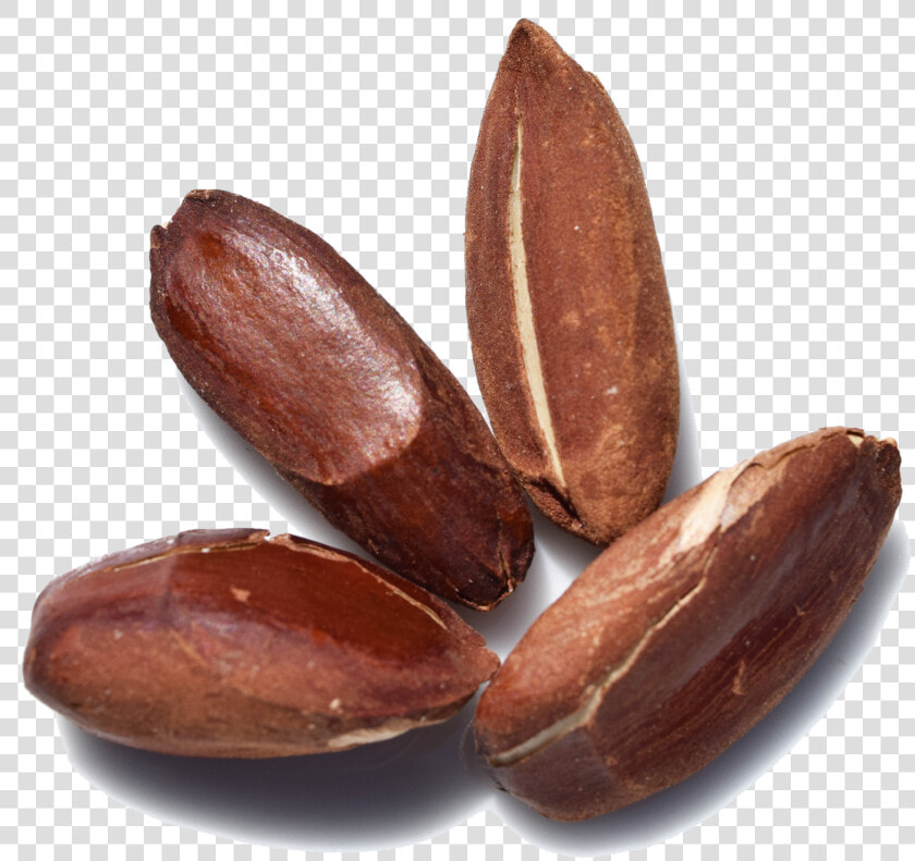 Nuts  amp  Seeds  HD Png DownloadTransparent PNG