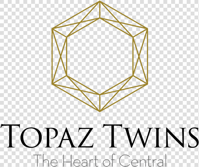 Topaz Twins   University Of Maryland Rehabilitation  amp  Orthopaedic  HD Png DownloadTransparent PNG