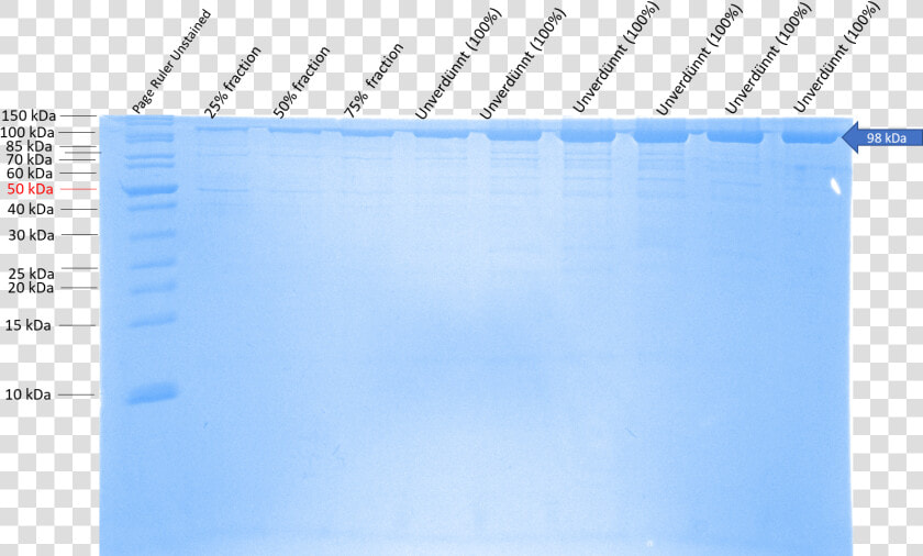 Document  HD Png DownloadTransparent PNG