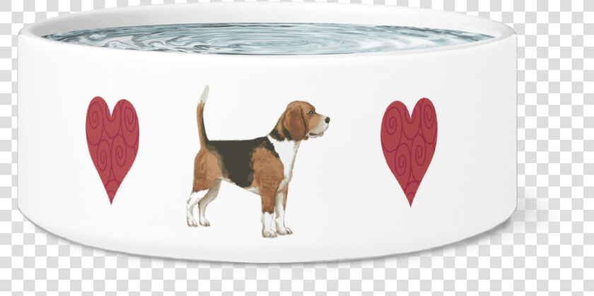 Beagle harrier  HD Png DownloadTransparent PNG