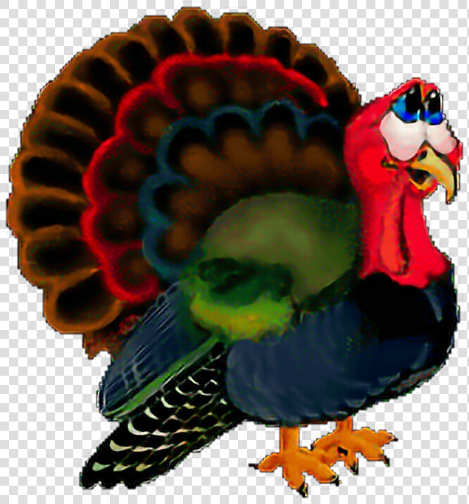  sticker  pavo  freetoedit   Animated Gif Turkey  HD Png DownloadTransparent PNG