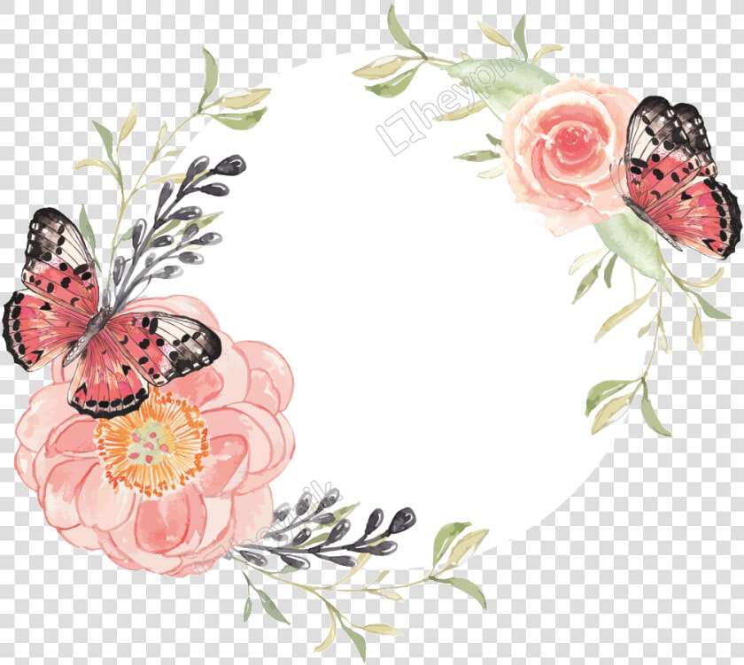 Vector Free Butterfly Free Download Eps Files   Butterfly Png Vector  Transparent PngTransparent PNG