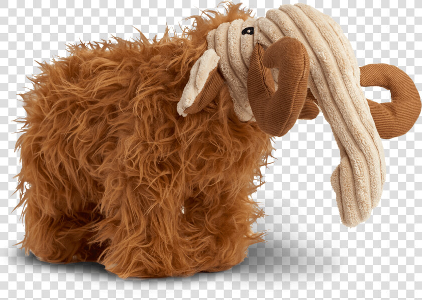 Feral Goat  HD Png DownloadTransparent PNG