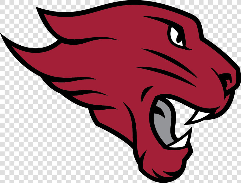 Cougar Logo   Cuc Football  HD Png DownloadTransparent PNG